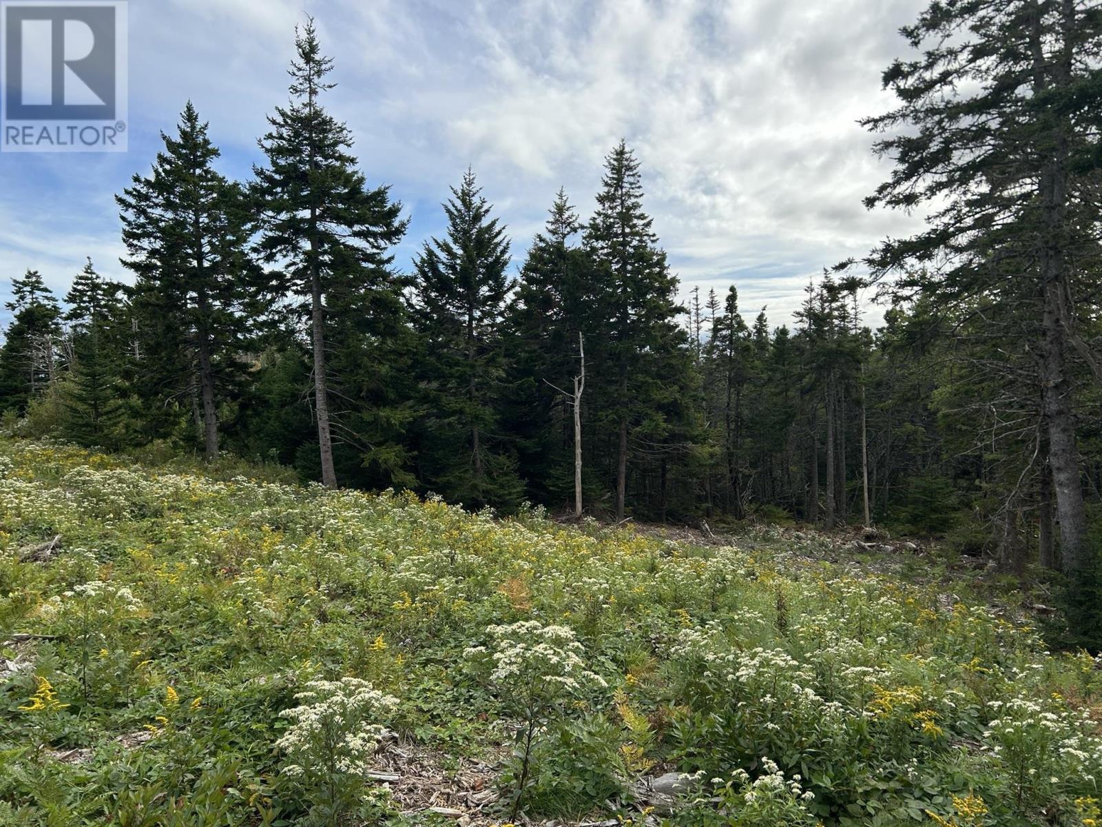 Property 4 of 23 of Highway 16