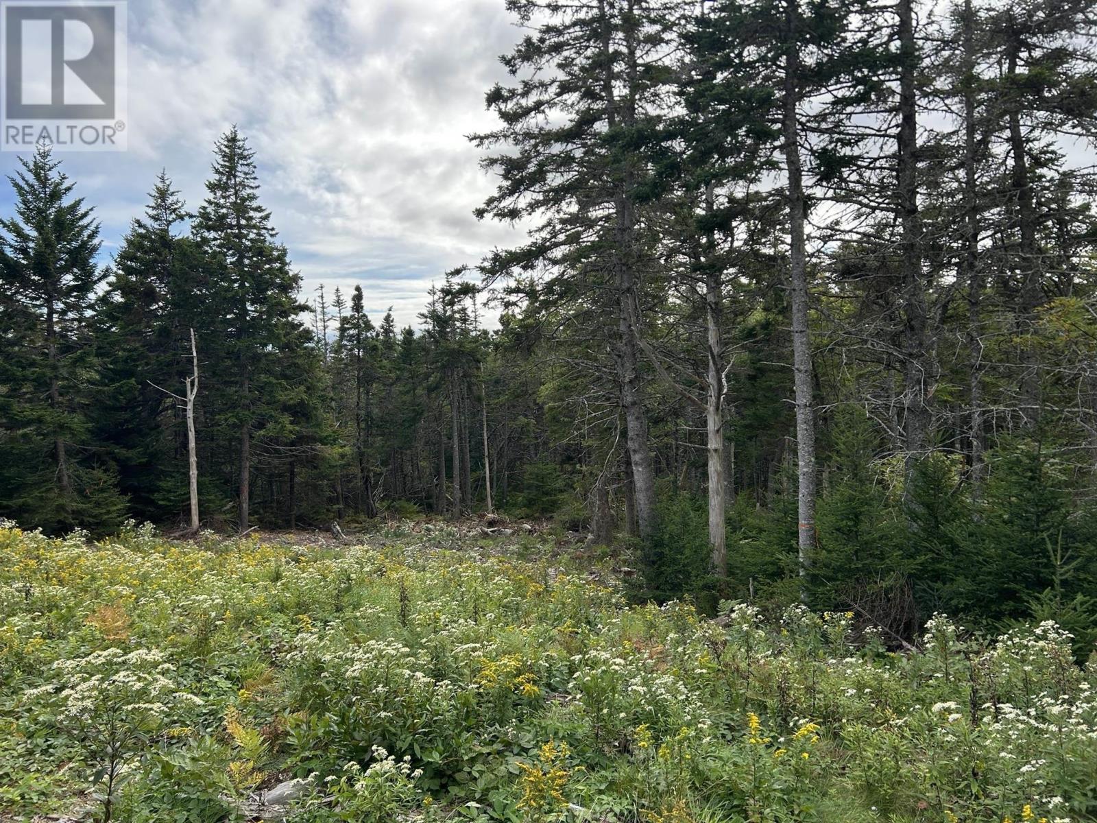 Property 12 of 23 of Highway 16