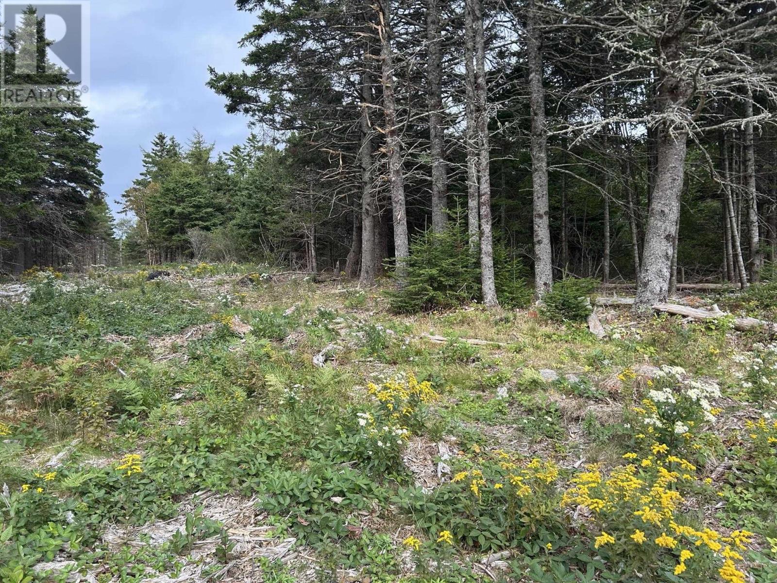 Property 21 of 23 of Highway 16