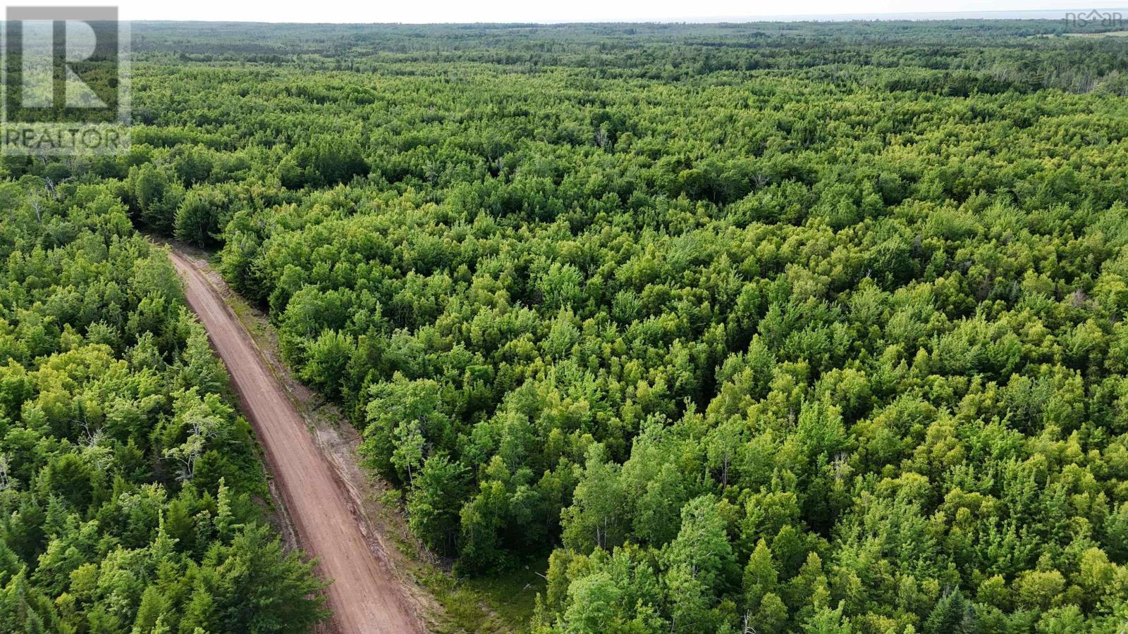 Property 2 of 9 of 458 acres Protection Road