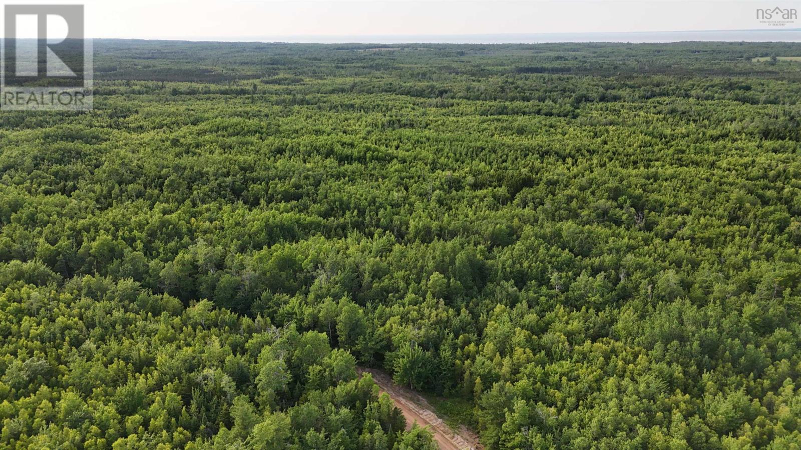 Property 4 of 9 of 458 acres Protection Road