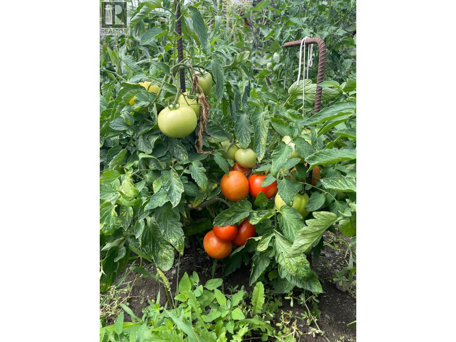 602 BRINK Street, Ashcroft