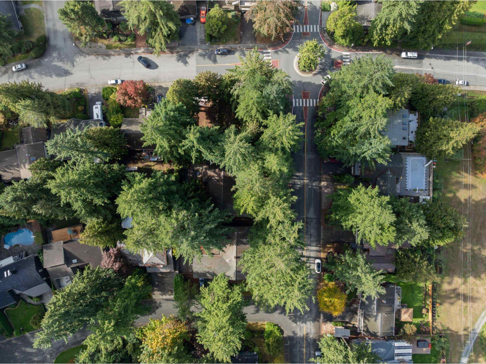 11134 LYON ROAD, Delta