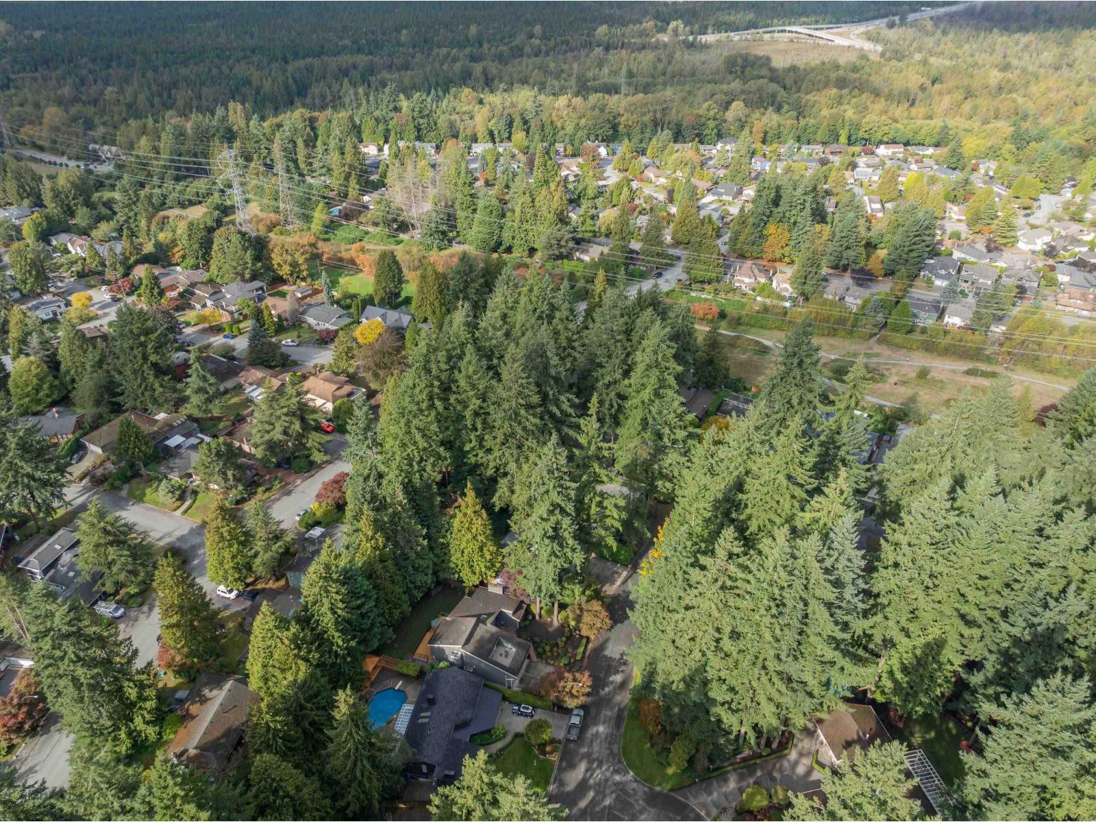 11134 LYON ROAD, Delta