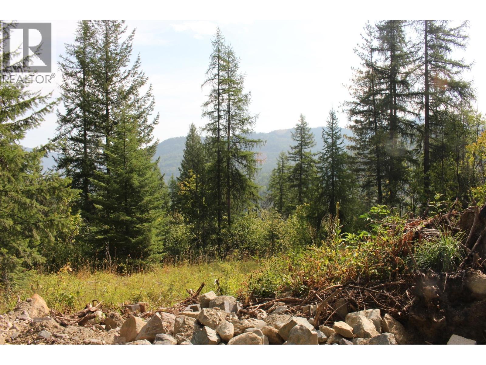 2640 3B Highway, Rossland