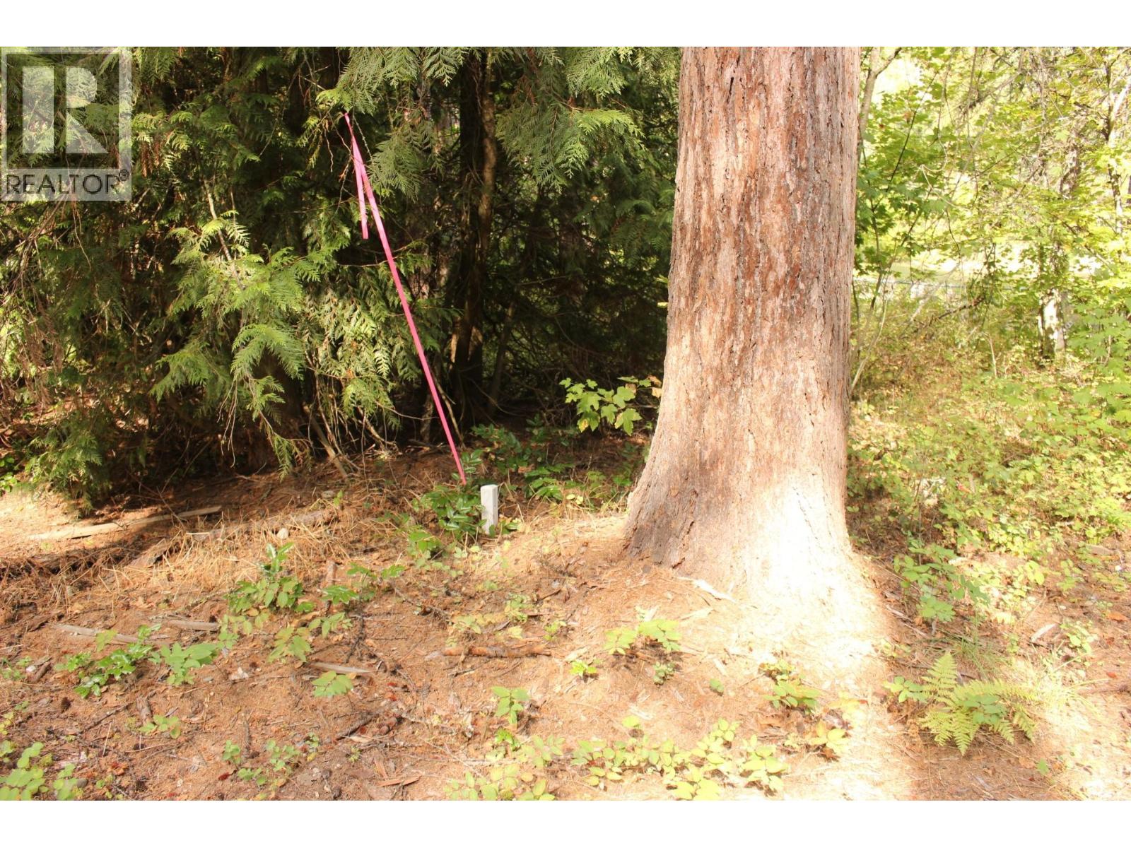 2640 3B Highway, Rossland