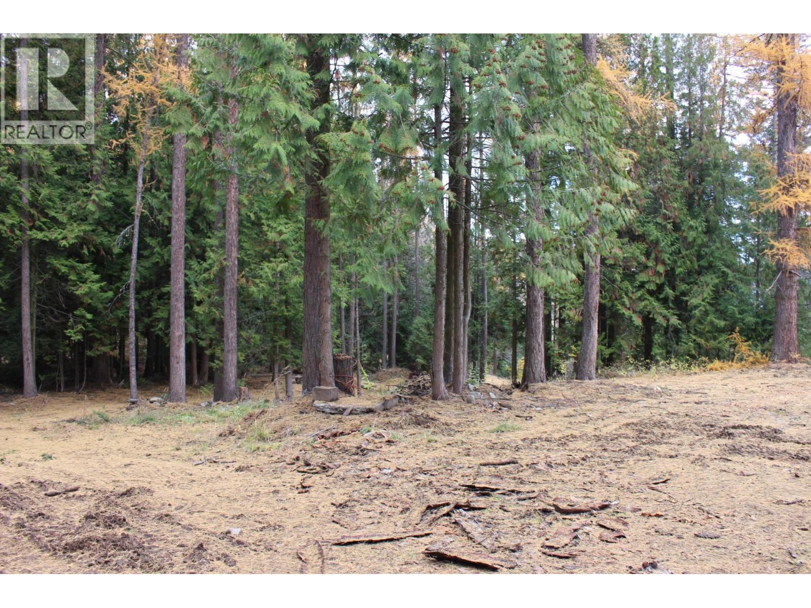 2640 3B Highway, Rossland