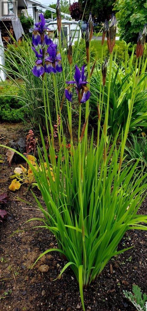 2225 Birch Street, Creston