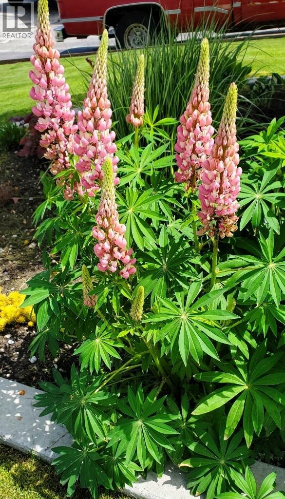 2225 Birch Street, Creston