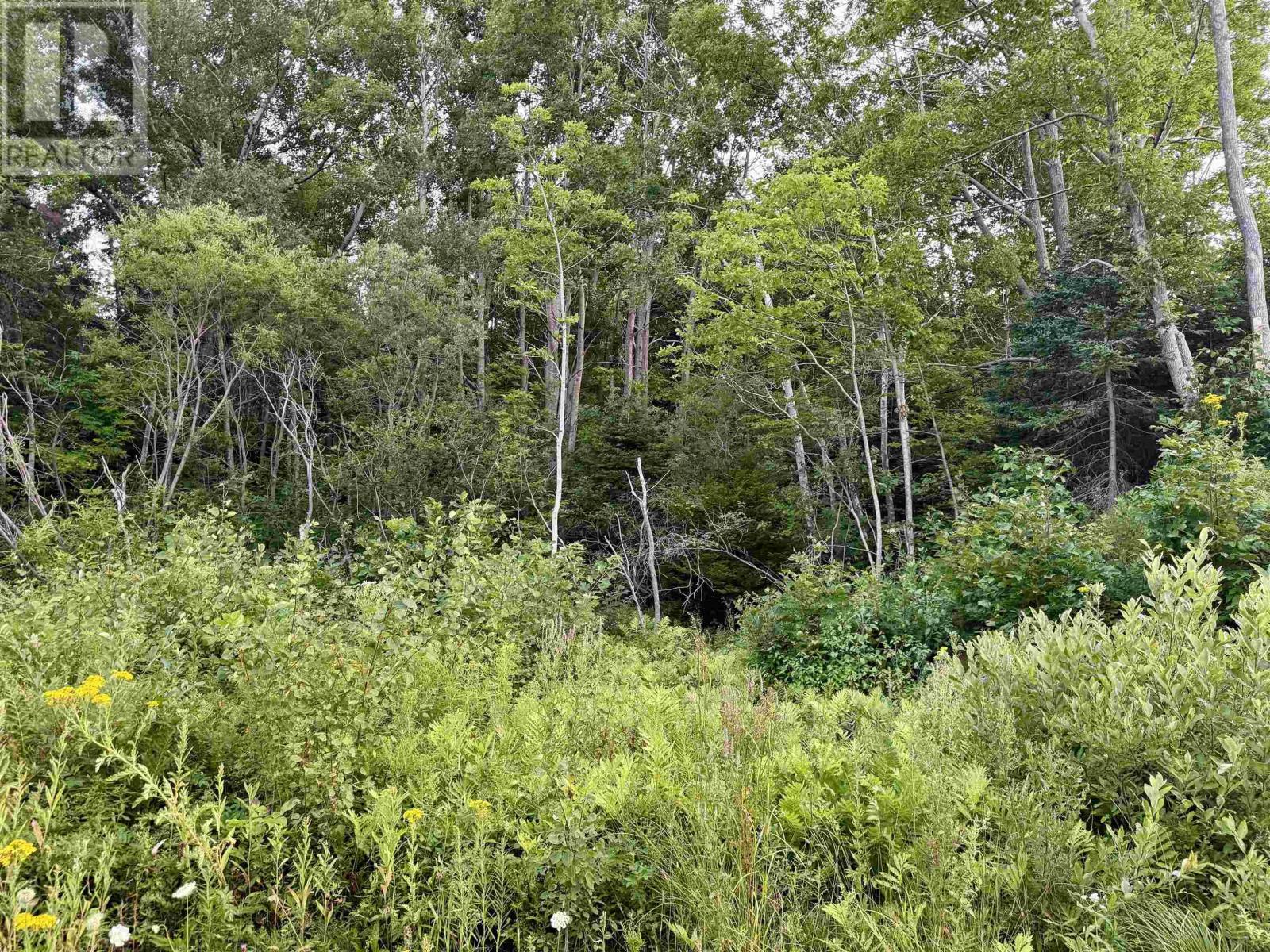 Property 3 of 6 of Lot Highway 4