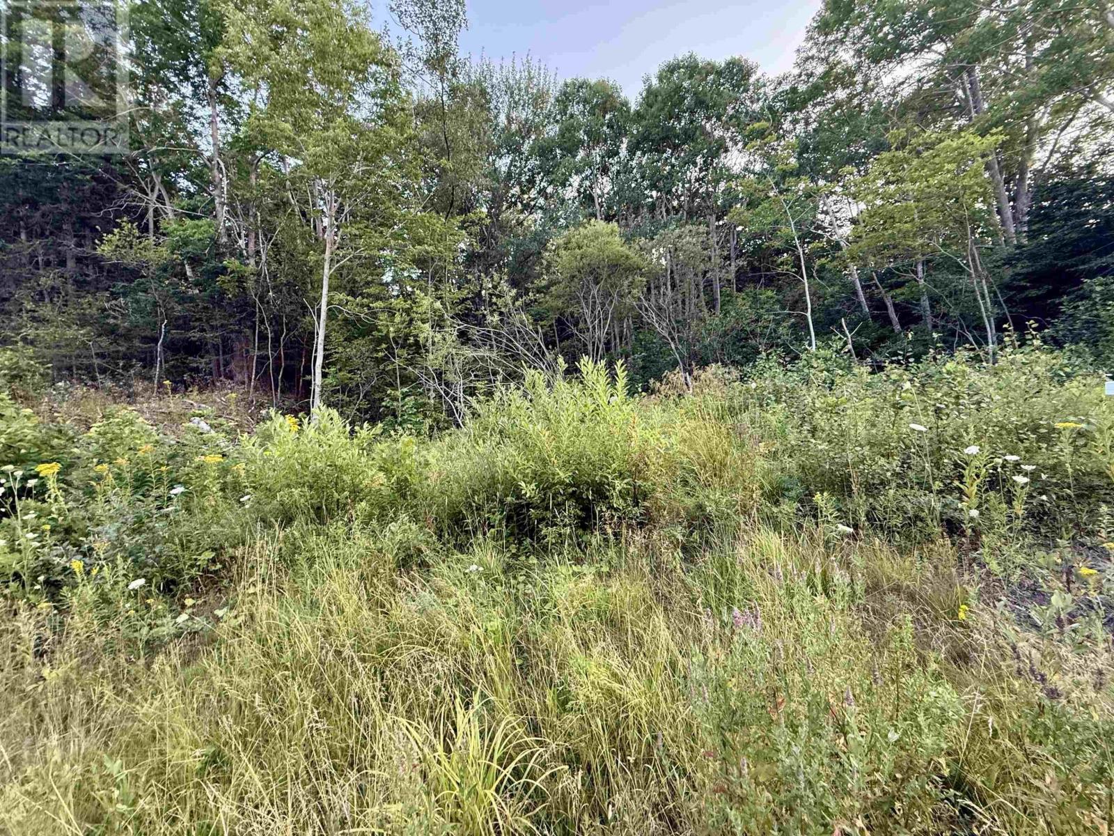 Property 5 of 6 of Lot Highway 4