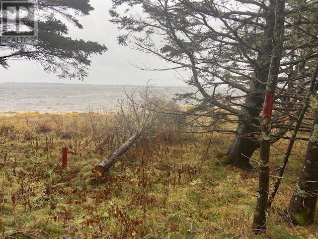 Property 3 of 9 of Lot N-1 Port LaTour Road