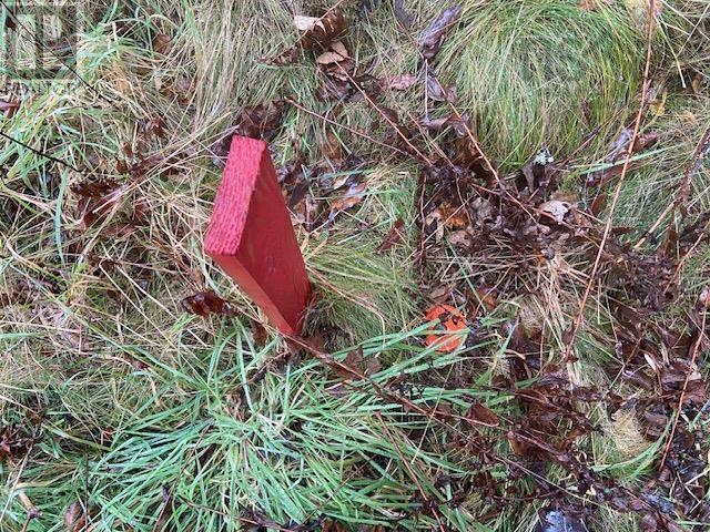 Property 4 of 9 of Lot N-1 Port LaTour Road