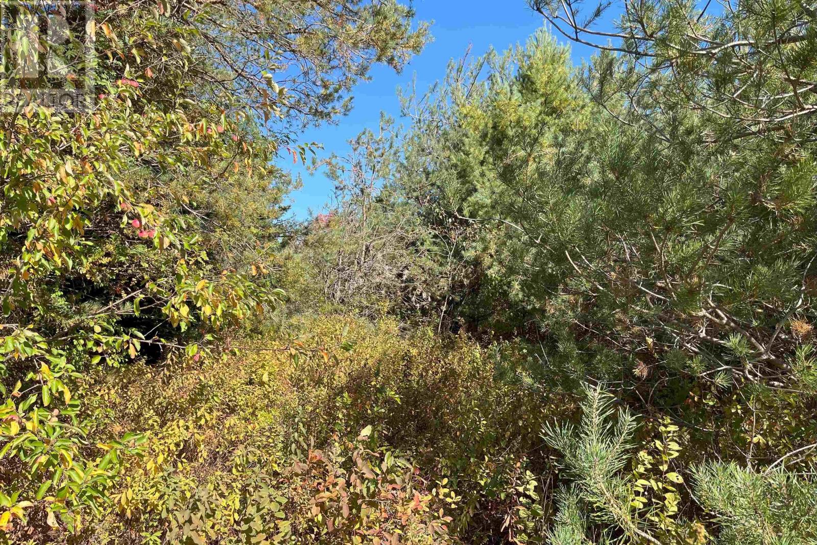 Property 8 of 9 of 6 Sargent Avenue