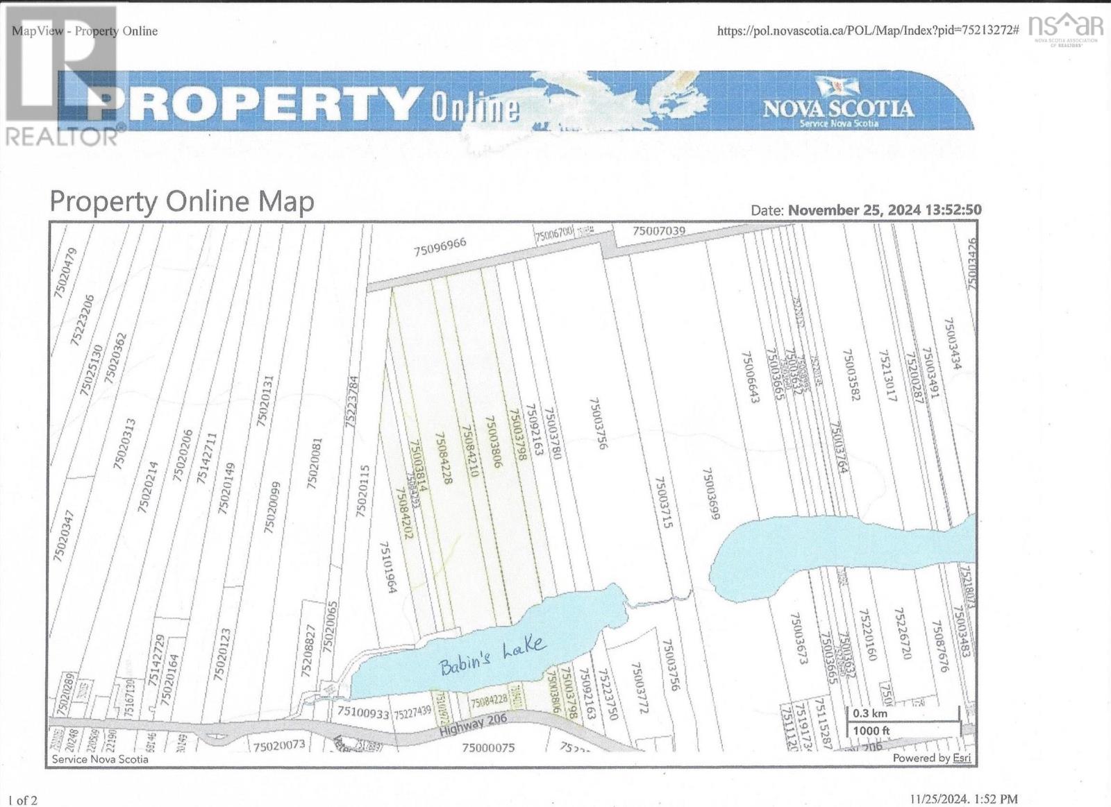 Property 2 of 2 of hwy 206 Babin's Hill Lands