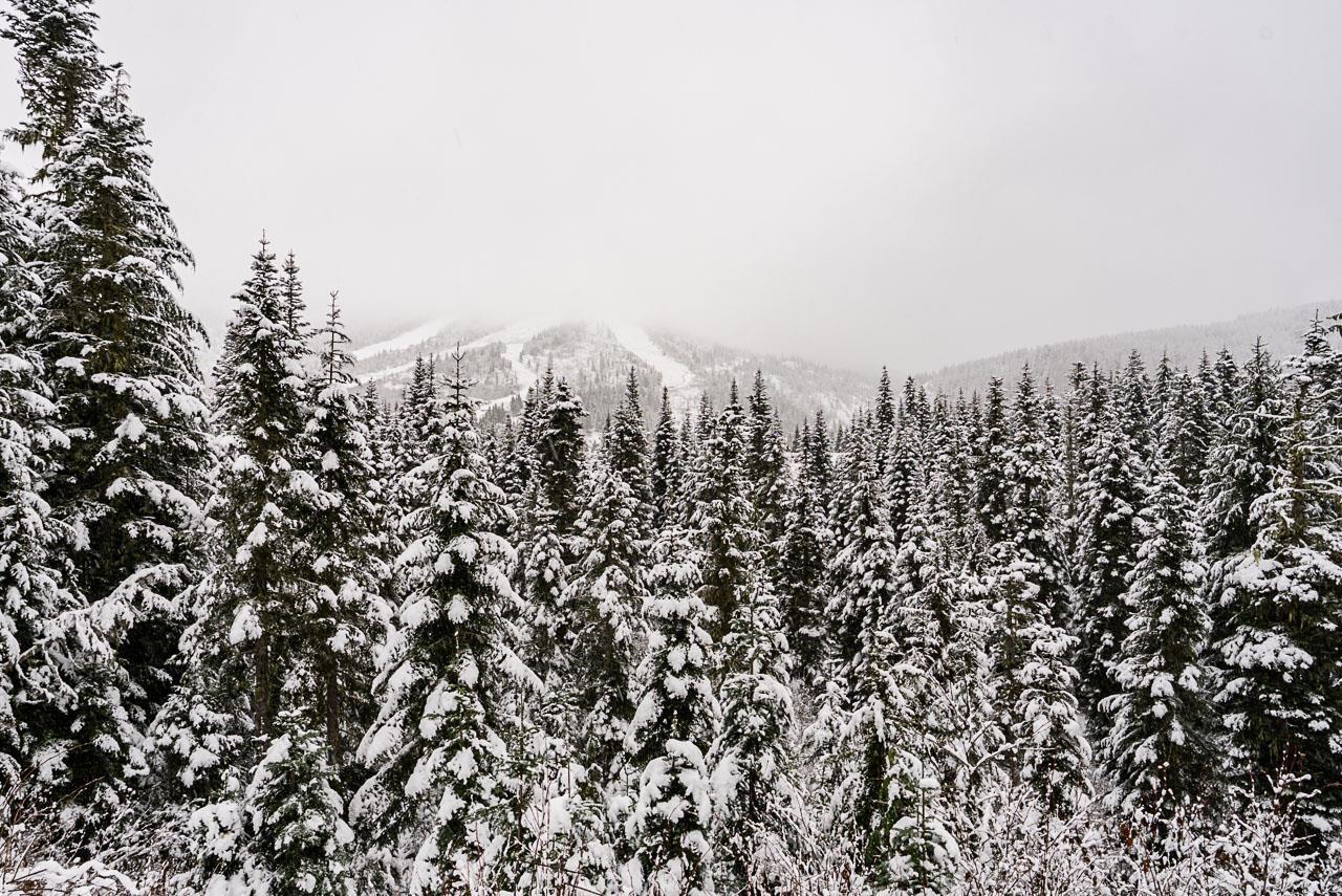 20806 SAKWI CREEK ROAD, Mission