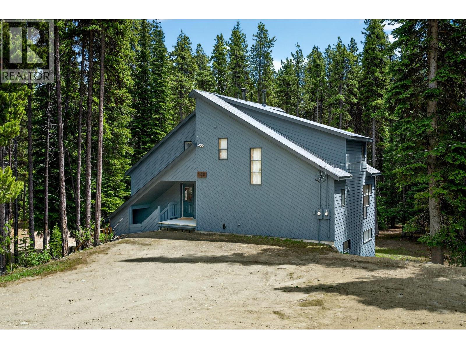 103 Whitetail Road Unit# 102, Apex Mountain