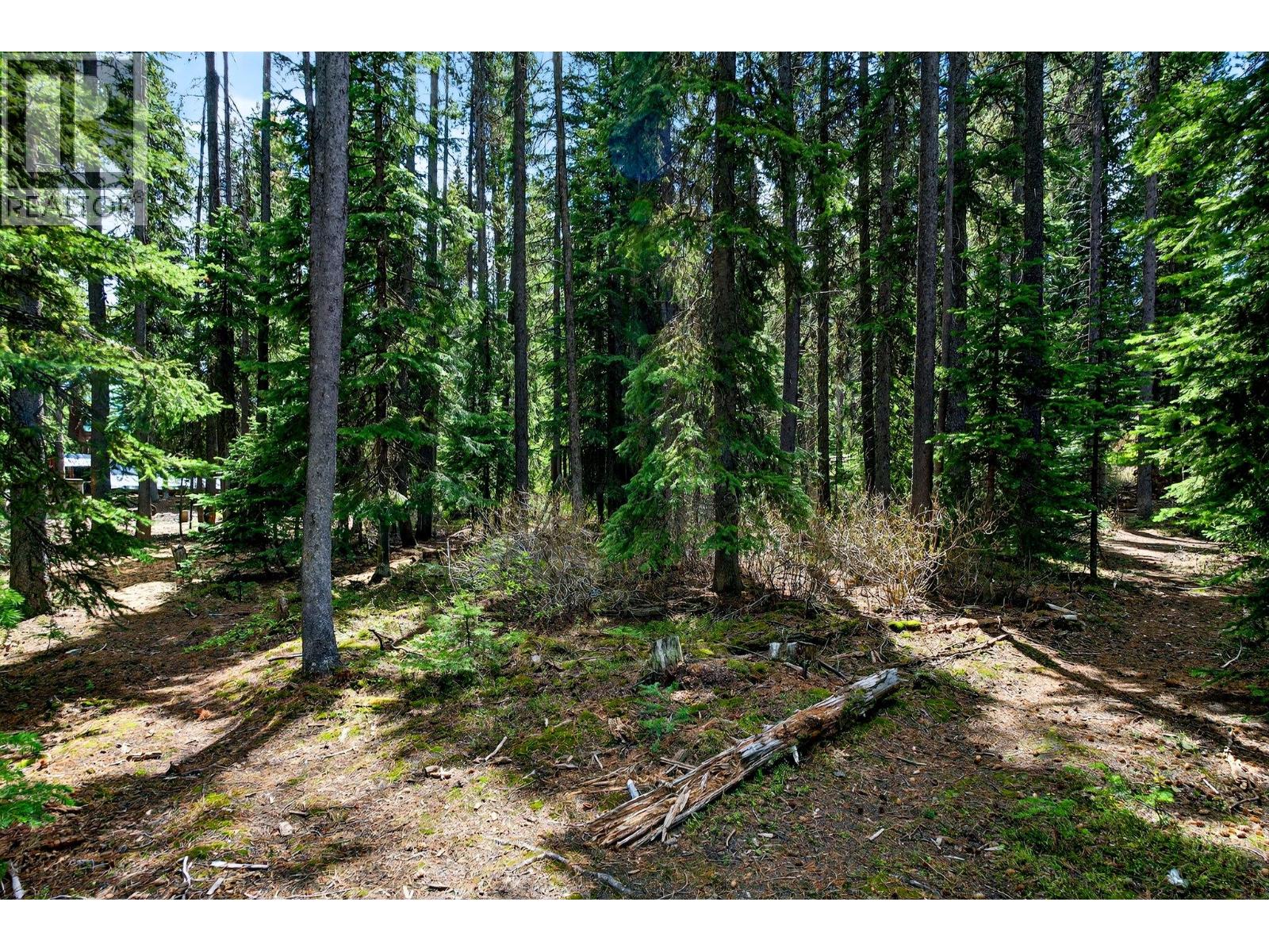 103 Whitetail Road Unit# 102, Apex Mountain