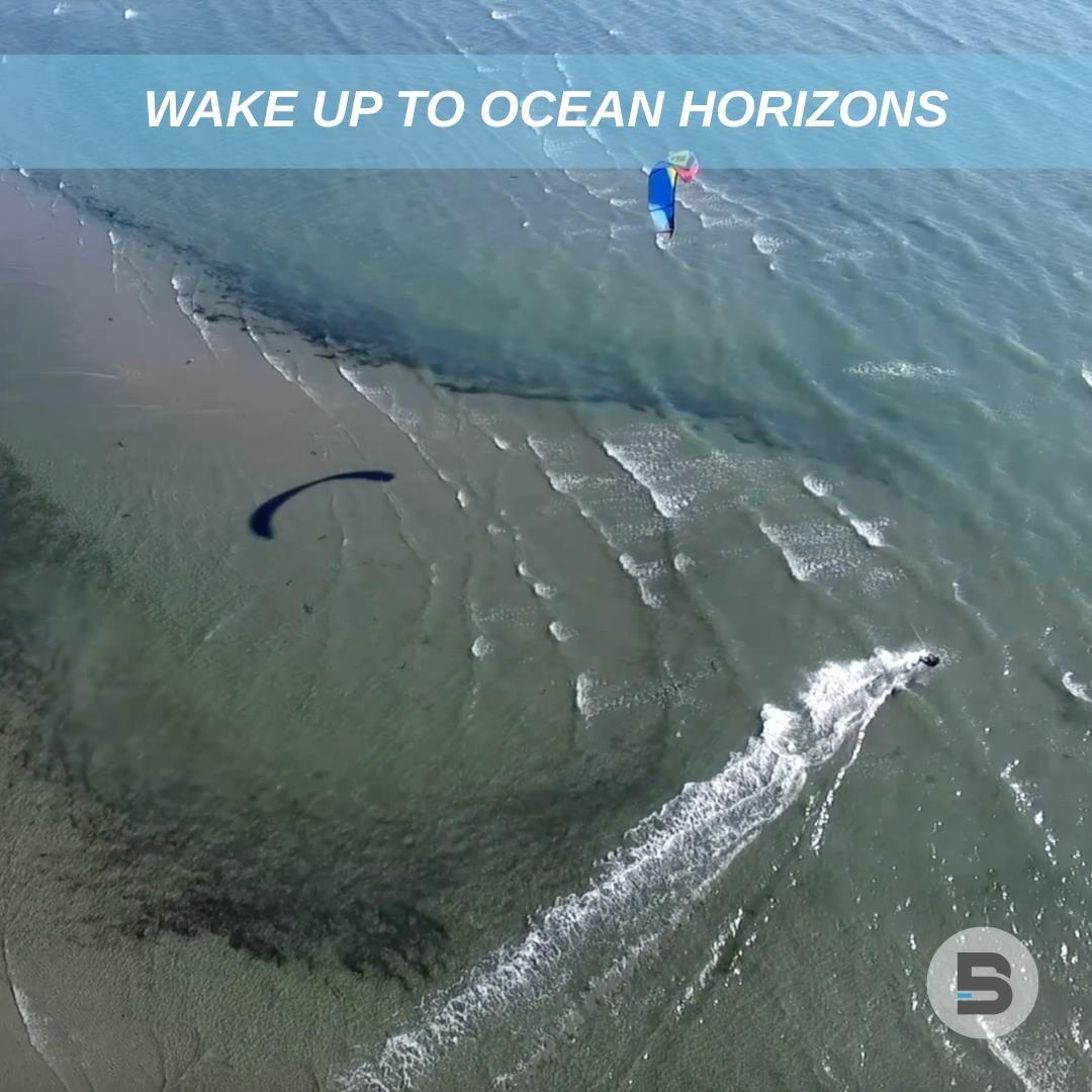 16049 9 AVENUE, Surrey