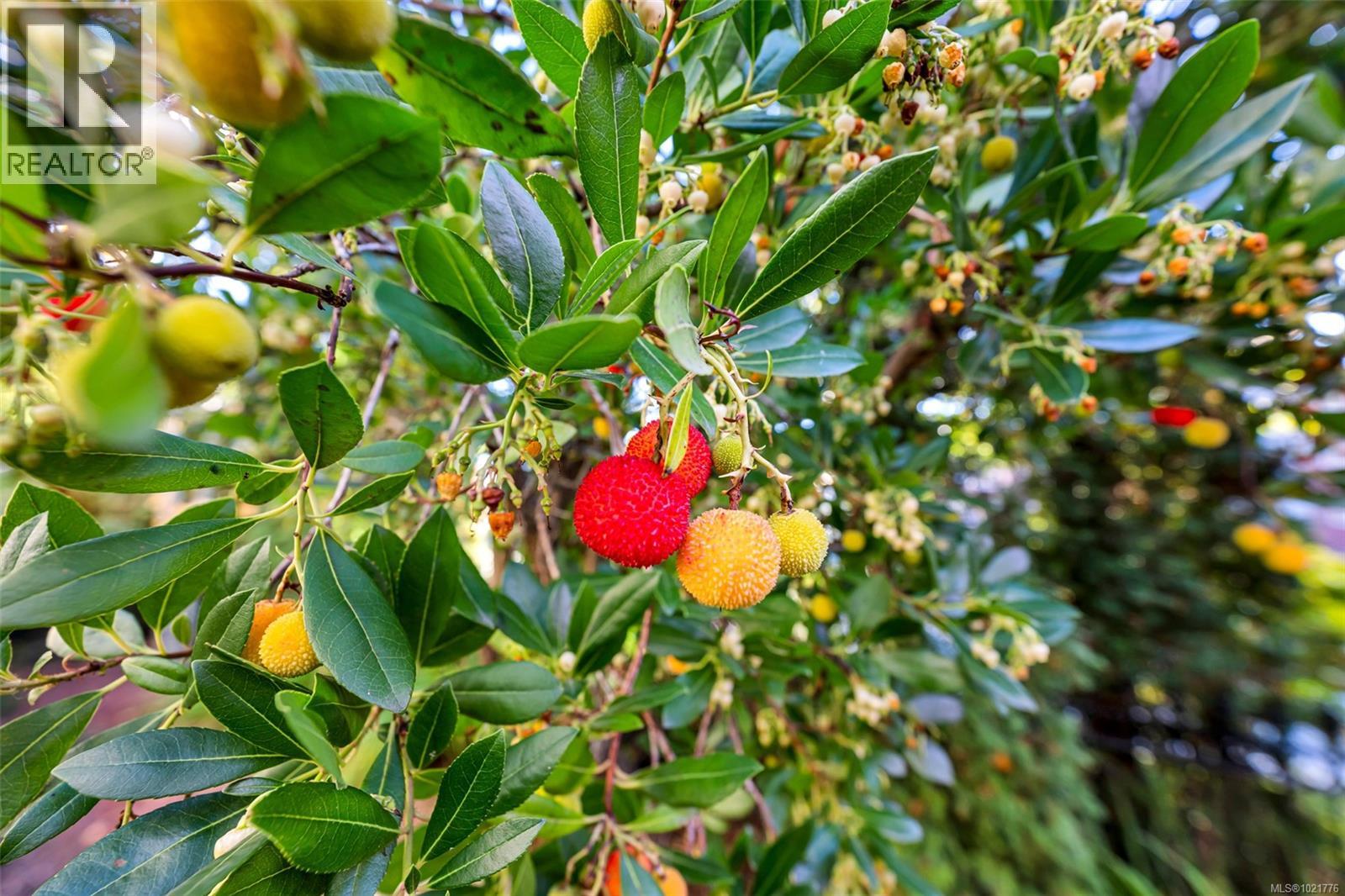 1 630 Brookside Rd, Colwood