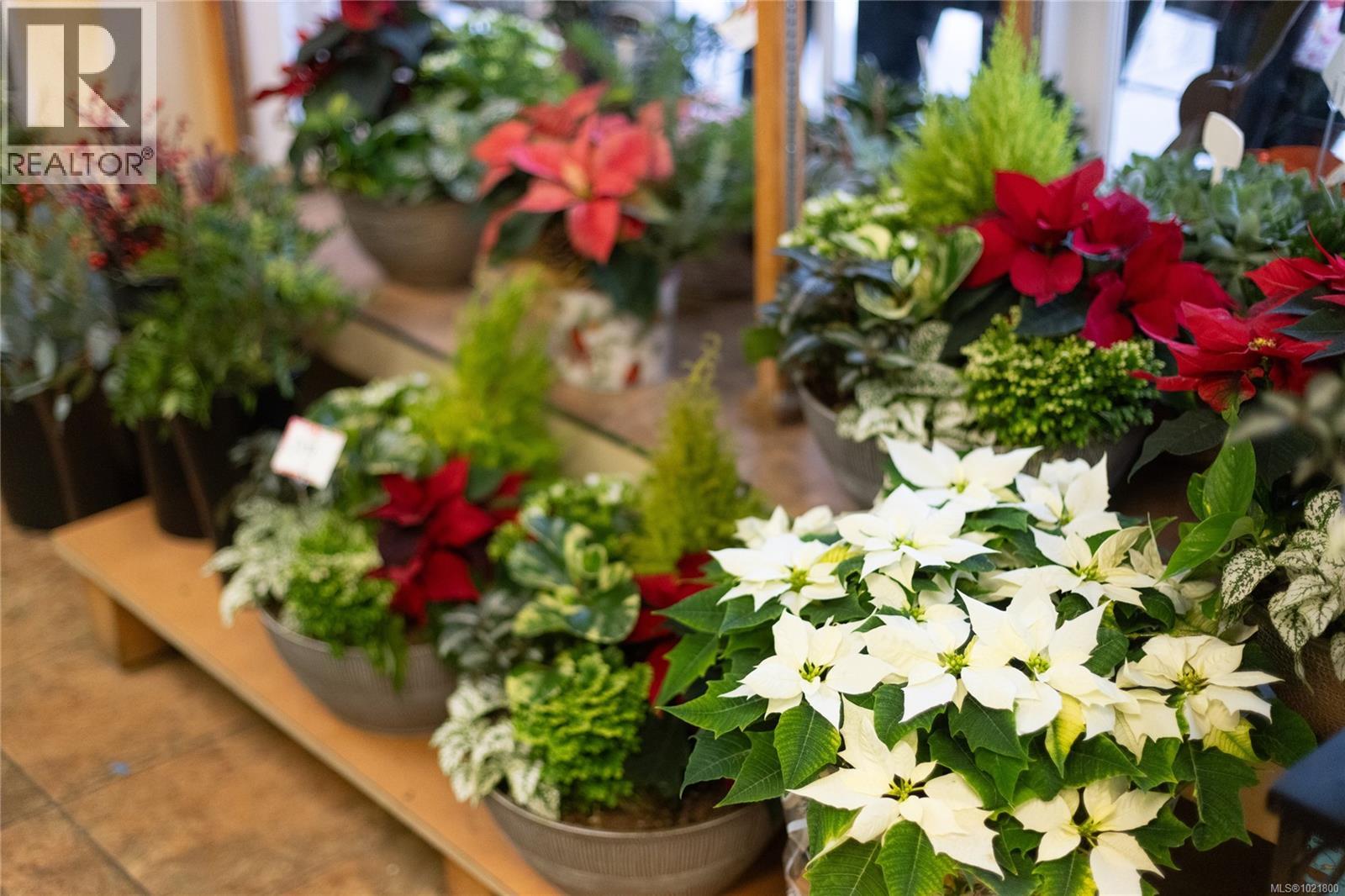 102 2187 Oak Bay Ave, Oak Bay