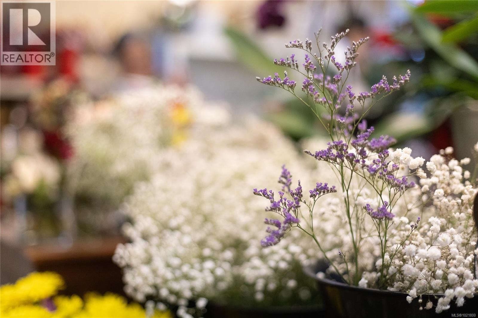 102 2187 Oak Bay Ave, Oak Bay