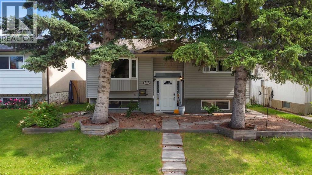 Single Family House Bi-level for Sale in  Doverview Road SE Dover Calgary 