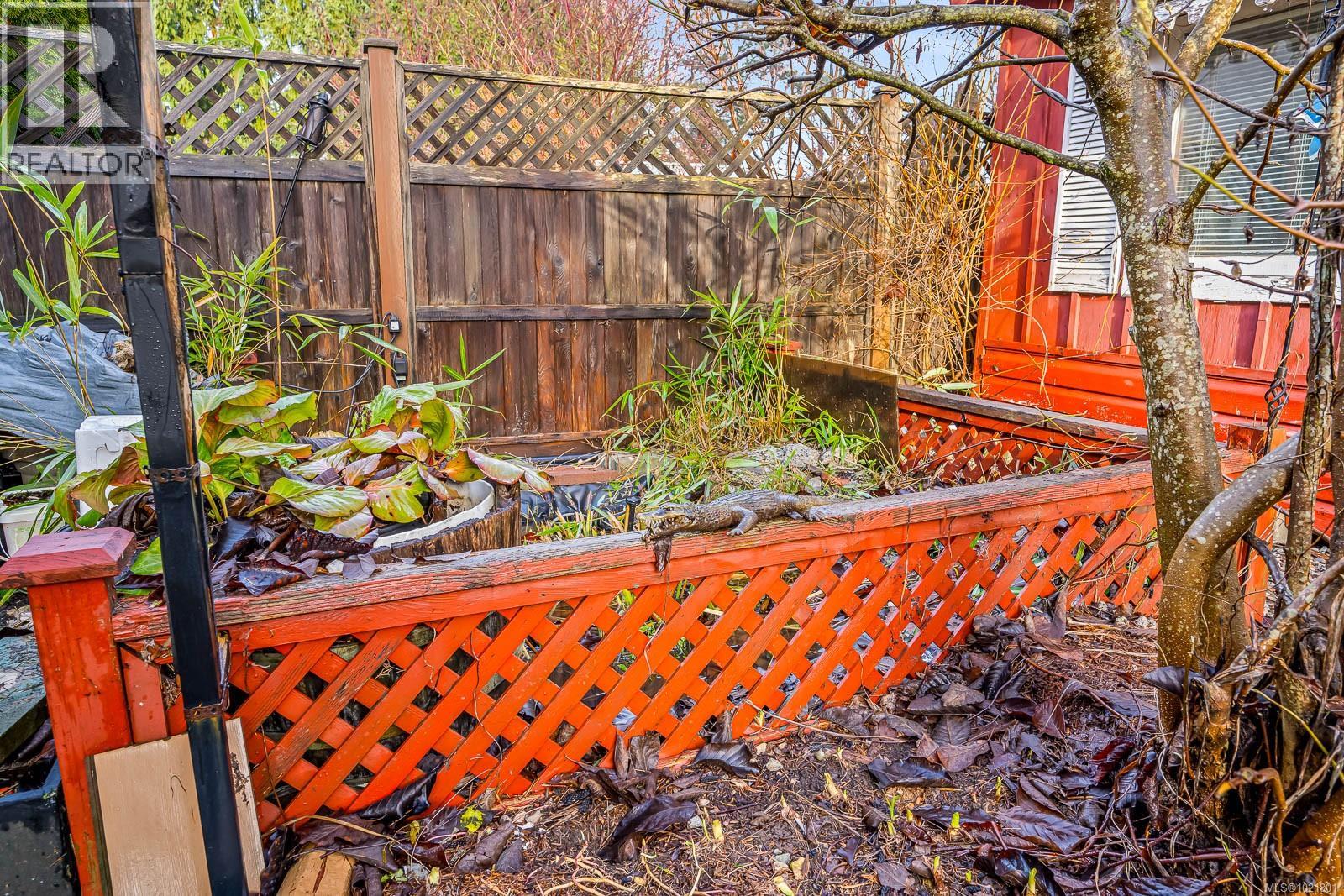 2316B Willemar Ave, Courtenay