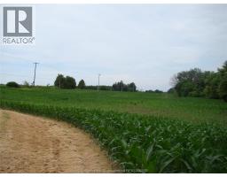 7914 Haggerty Road, Dawn Euphemia, ON N0P1C0 Photo 41
