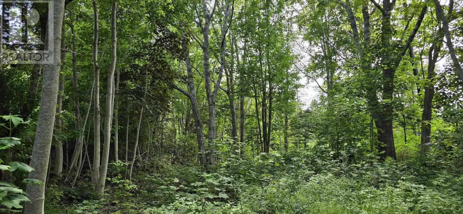 Property 7 of 16 of 58 Long Cove Road