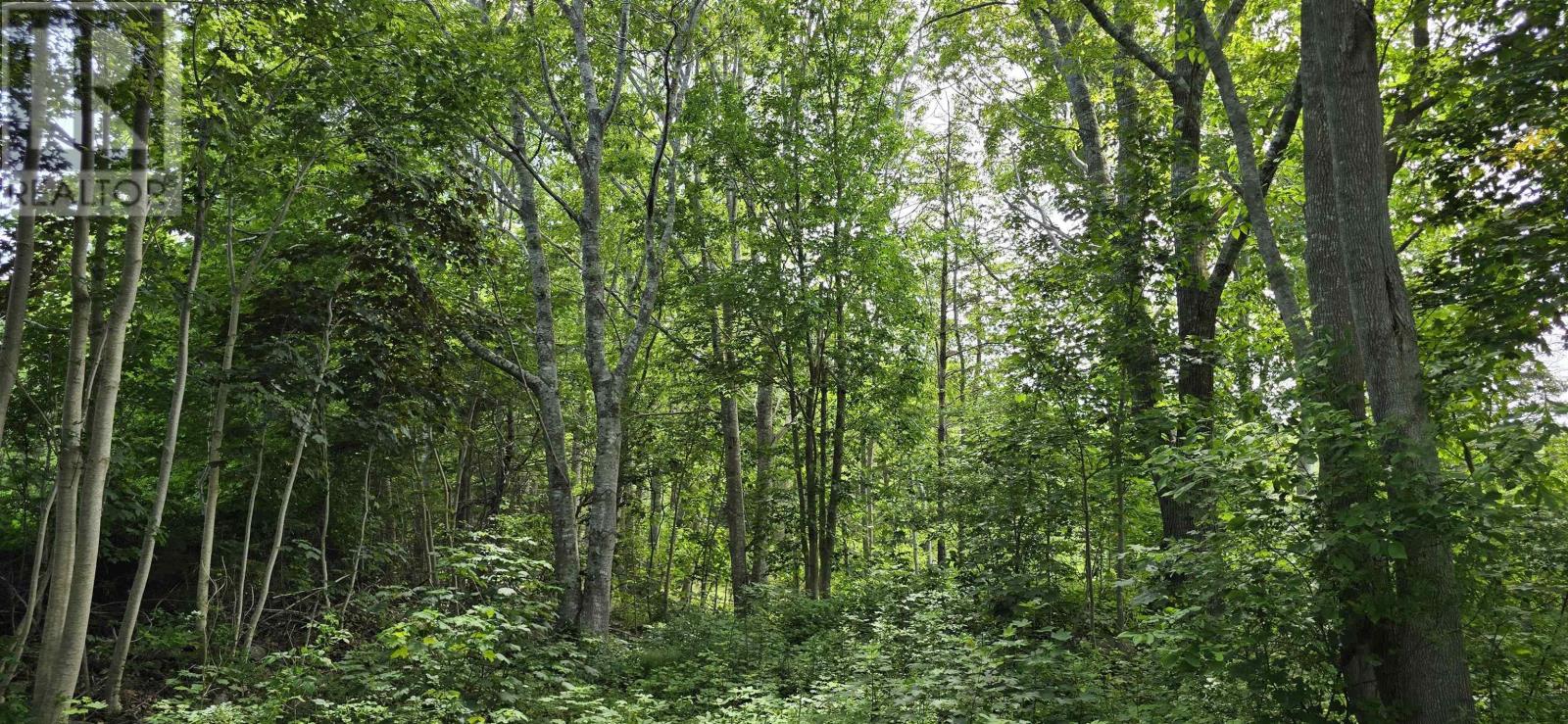 Property 8 of 16 of 58 Long Cove Road