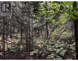 7 Shore Road, Saugeen Shores, ON N0H2L0 Photo 10