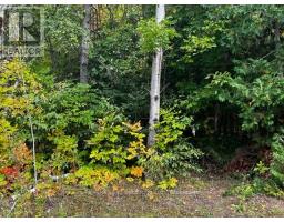 7 Shore Road, Saugeen Shores, ON N0H2L0 Photo 15