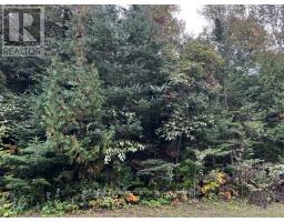 7 Shore Road, Saugeen Shores, ON N0H2L0 Photo 14