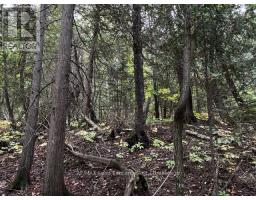 7 Shore Road, Saugeen Shores, ON N0H2L0 Photo 13