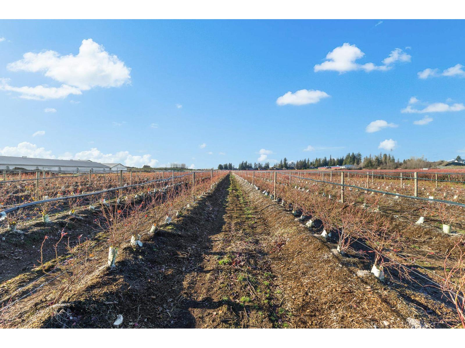 1283 GLADWIN ROAD, Abbotsford