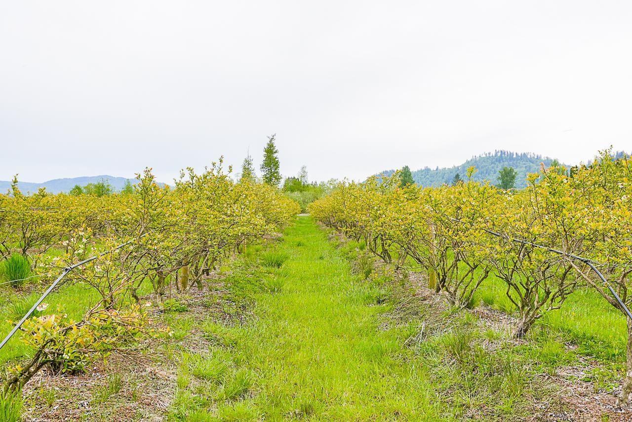 11186 FARMS ROAD, Mission