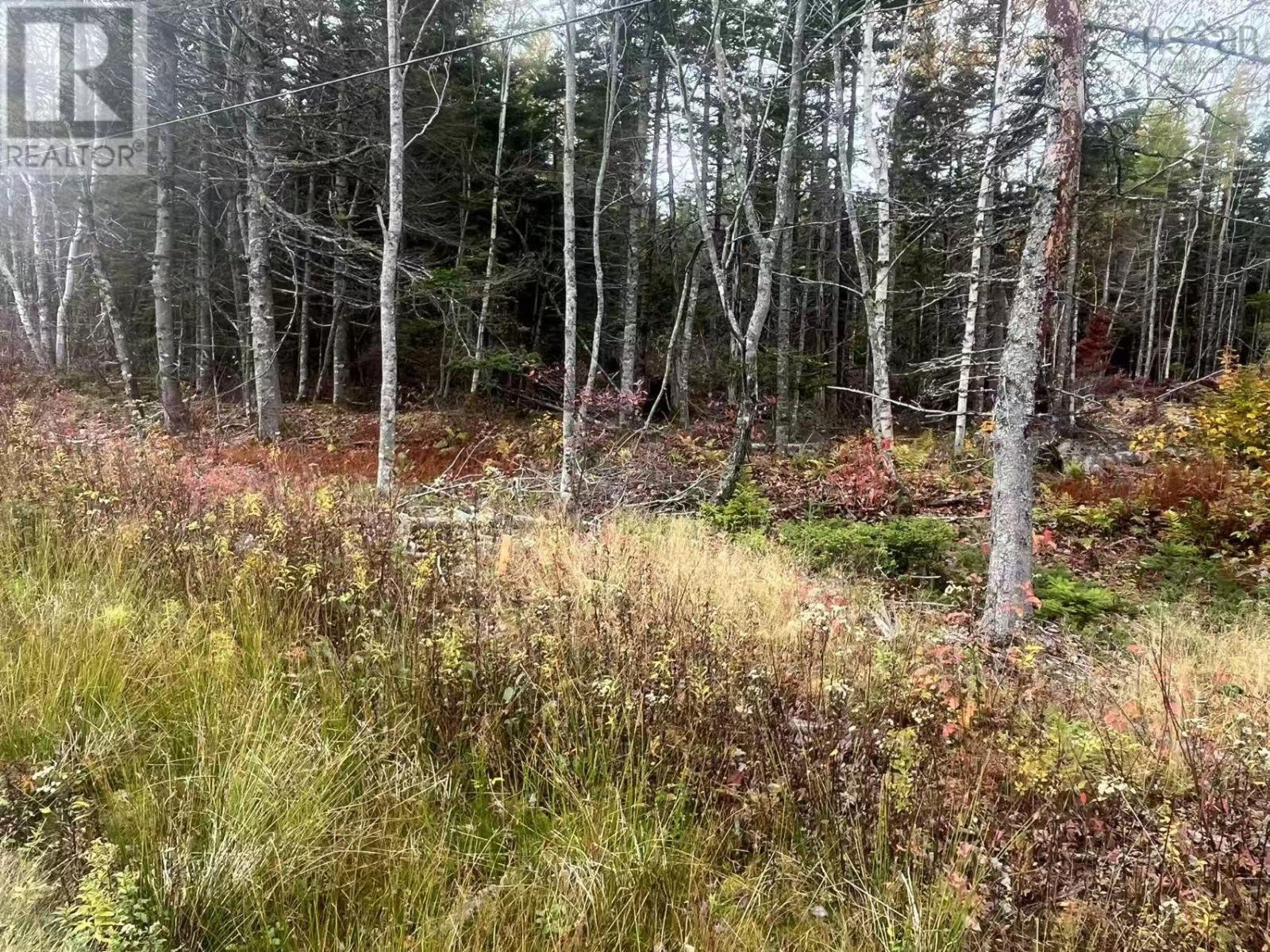 Property 2 of 5 of Lot Gabarus Highway