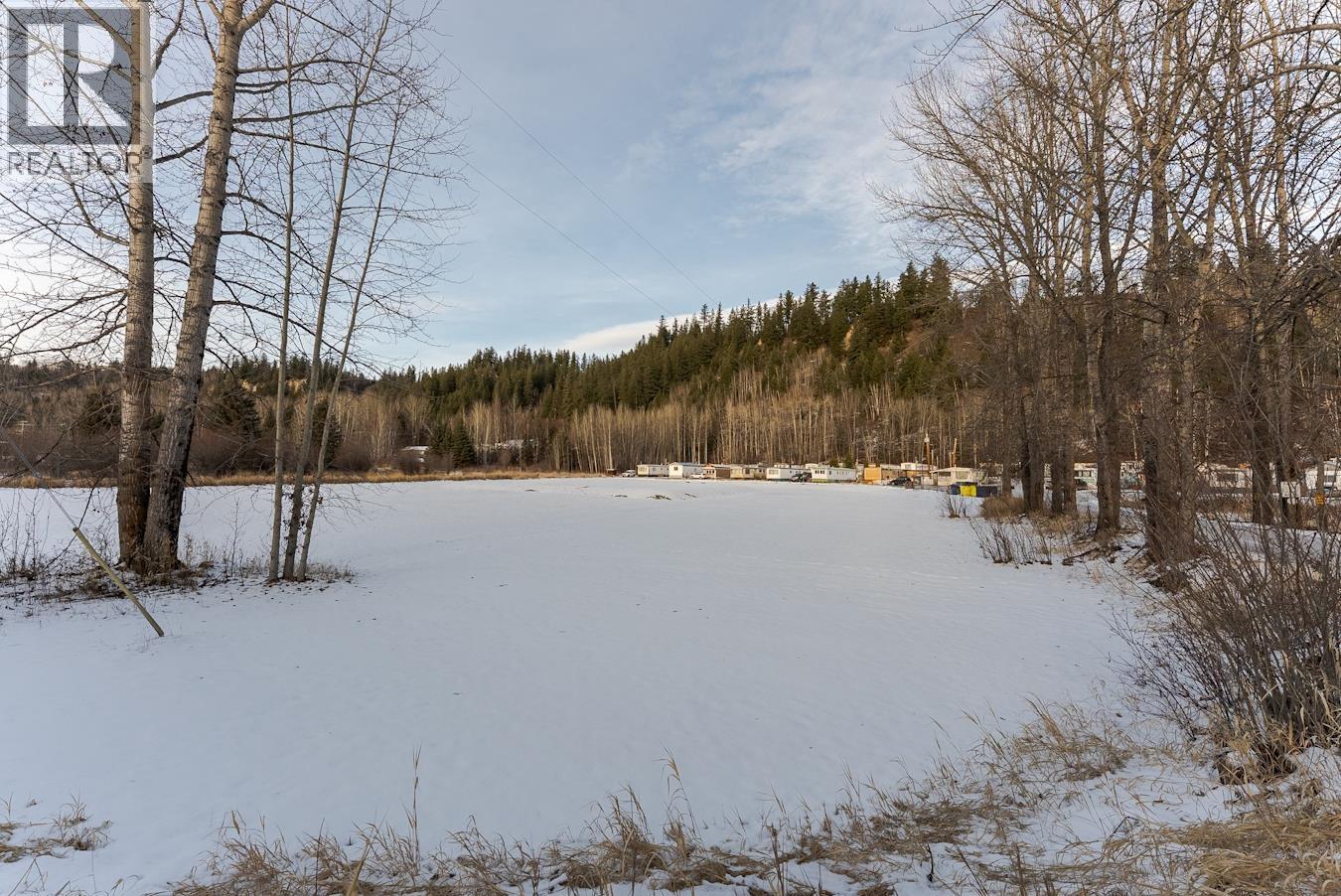 #28 1720 PRINCE GEORGE PULP MILL ROAD - 30