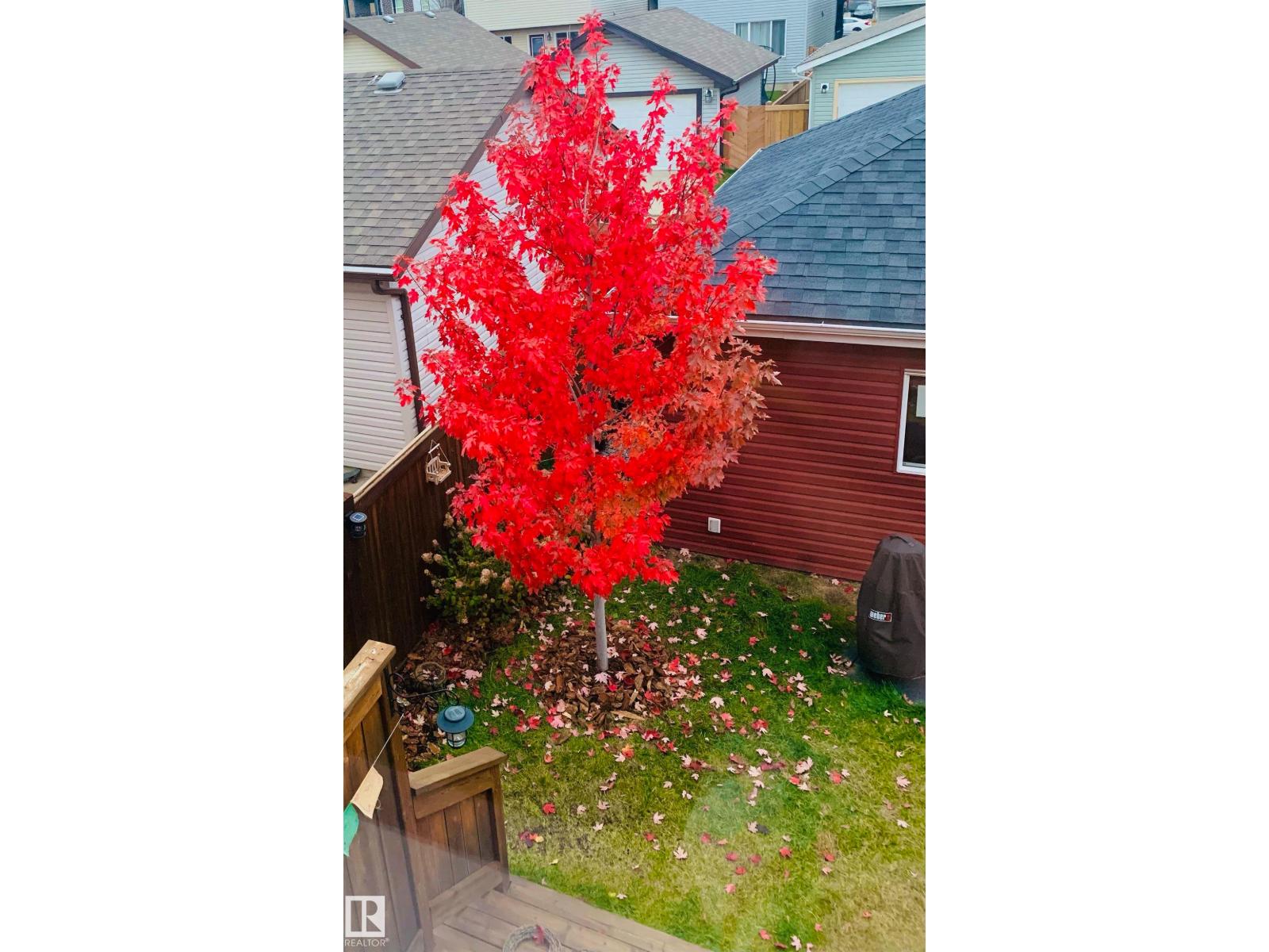 5213 2A AV SW, Edmonton