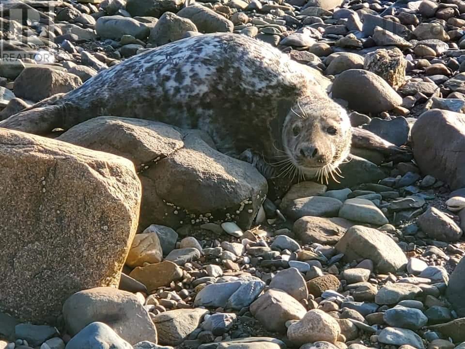 Property 21 of 30 of 8865 8869 Hwy 101 Highway