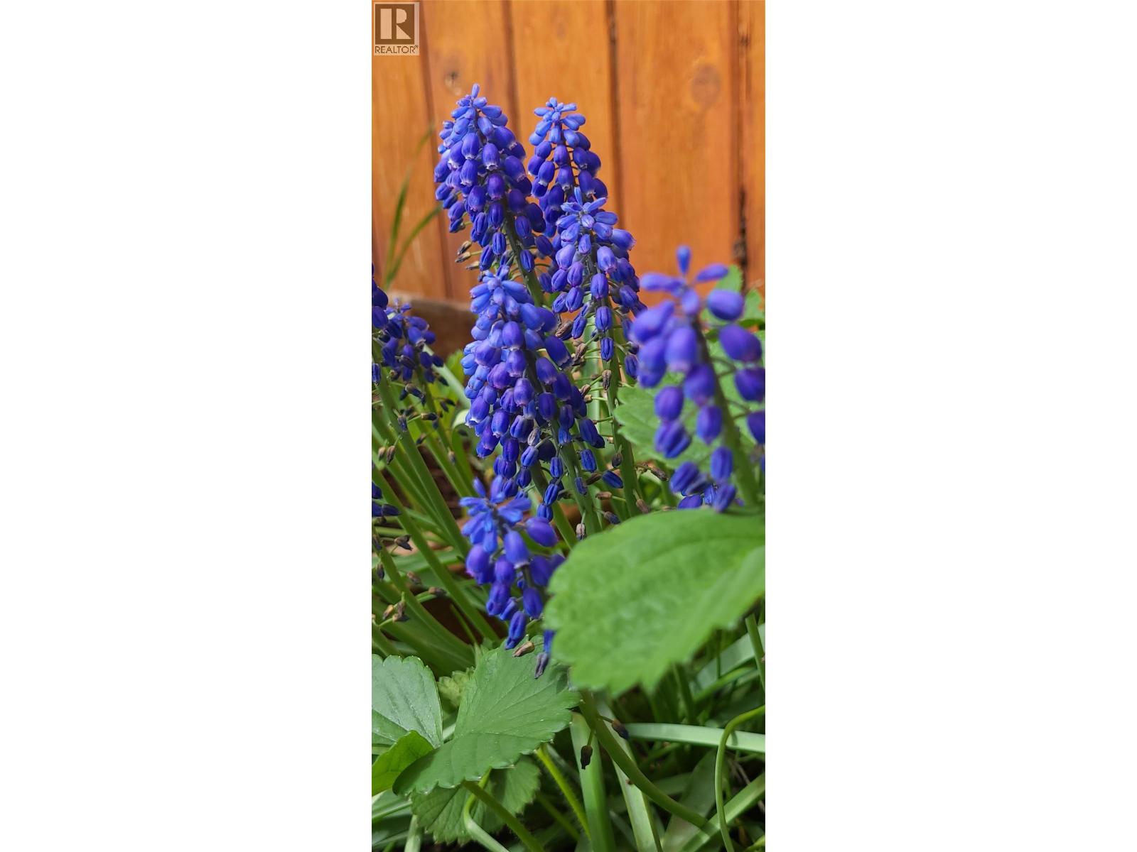 3930 26 Street, Vernon