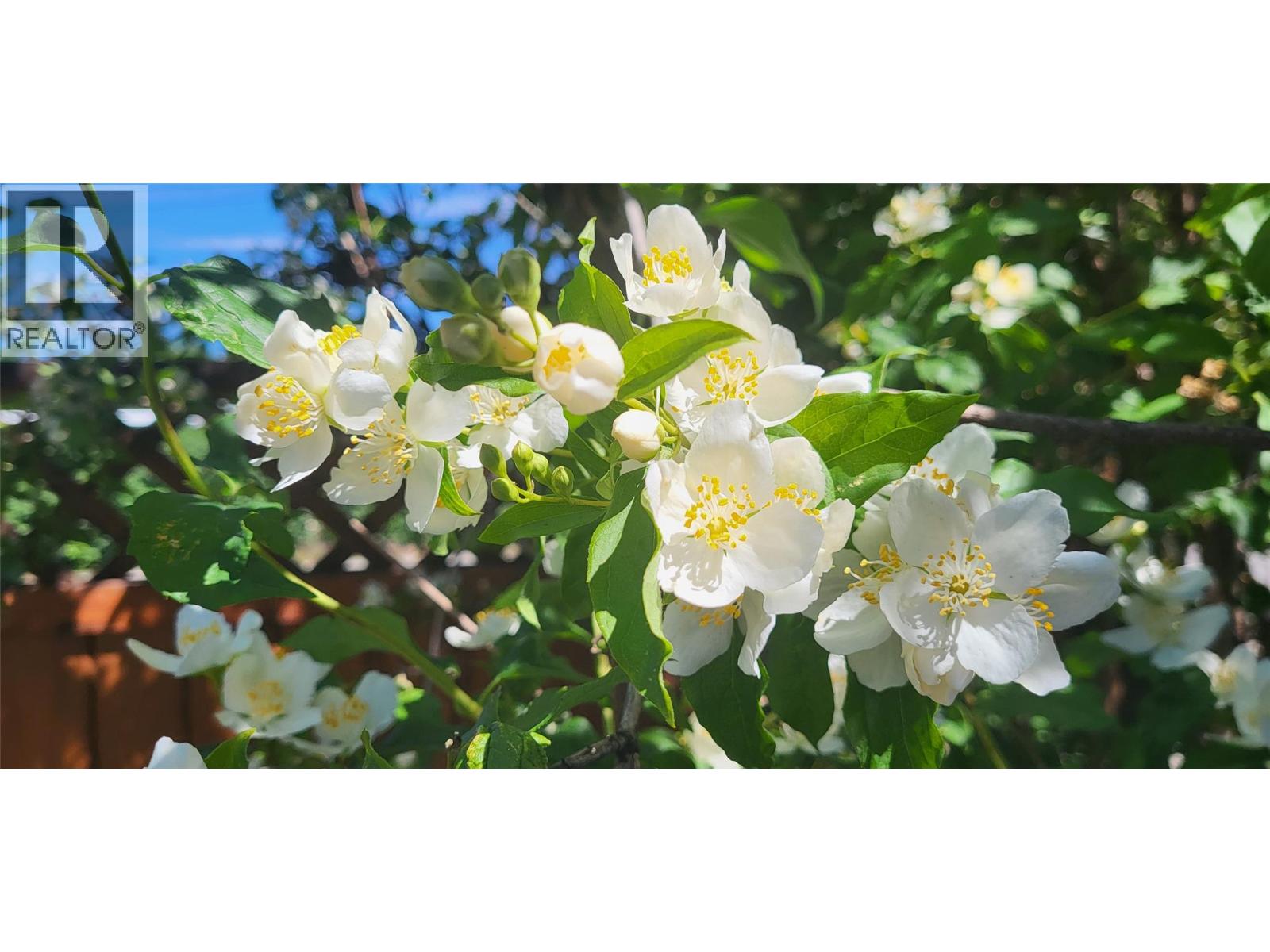 3930 26 Street, Vernon