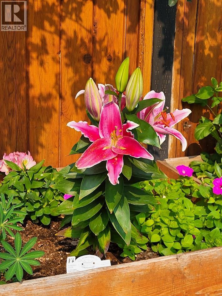 3930 26 Street, Vernon