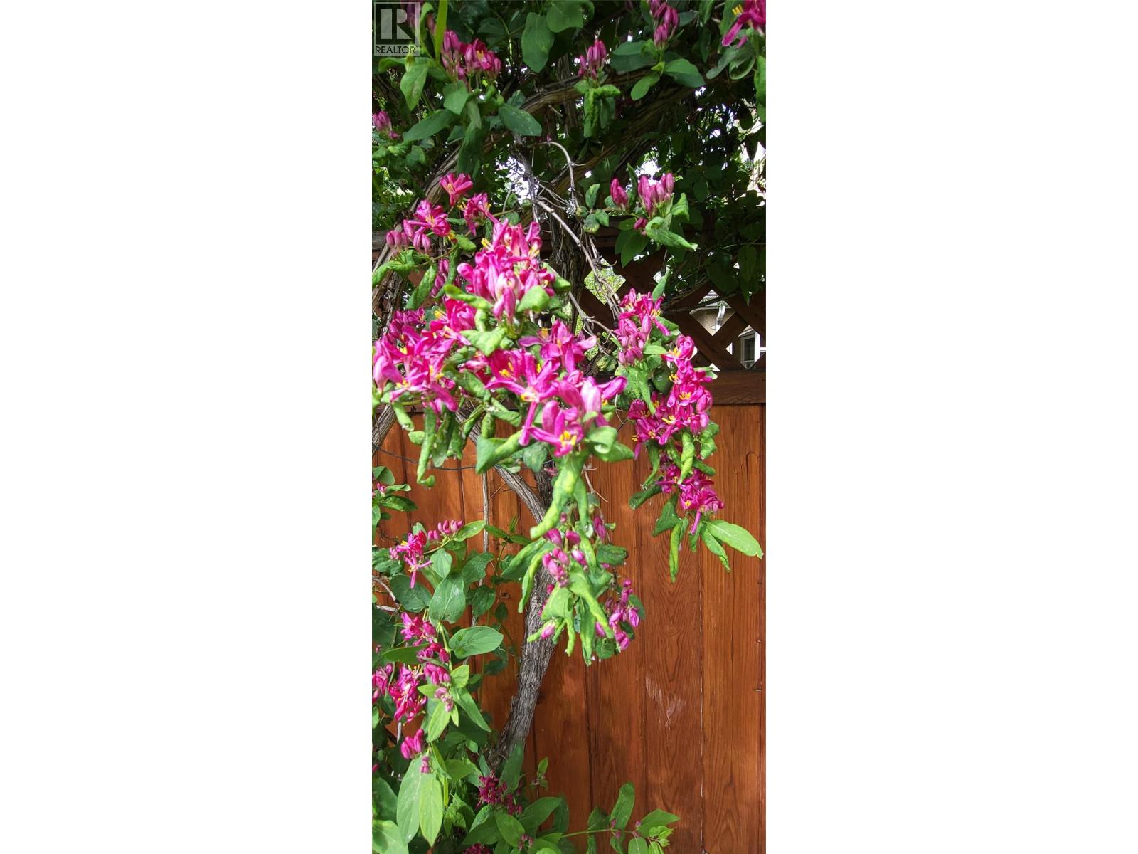 3930 26 Street, Vernon