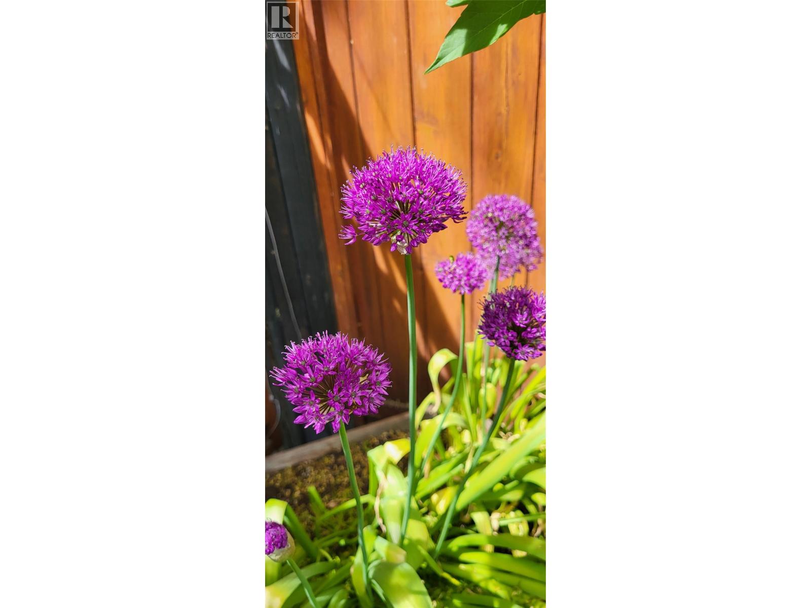 3930 26 Street, Vernon