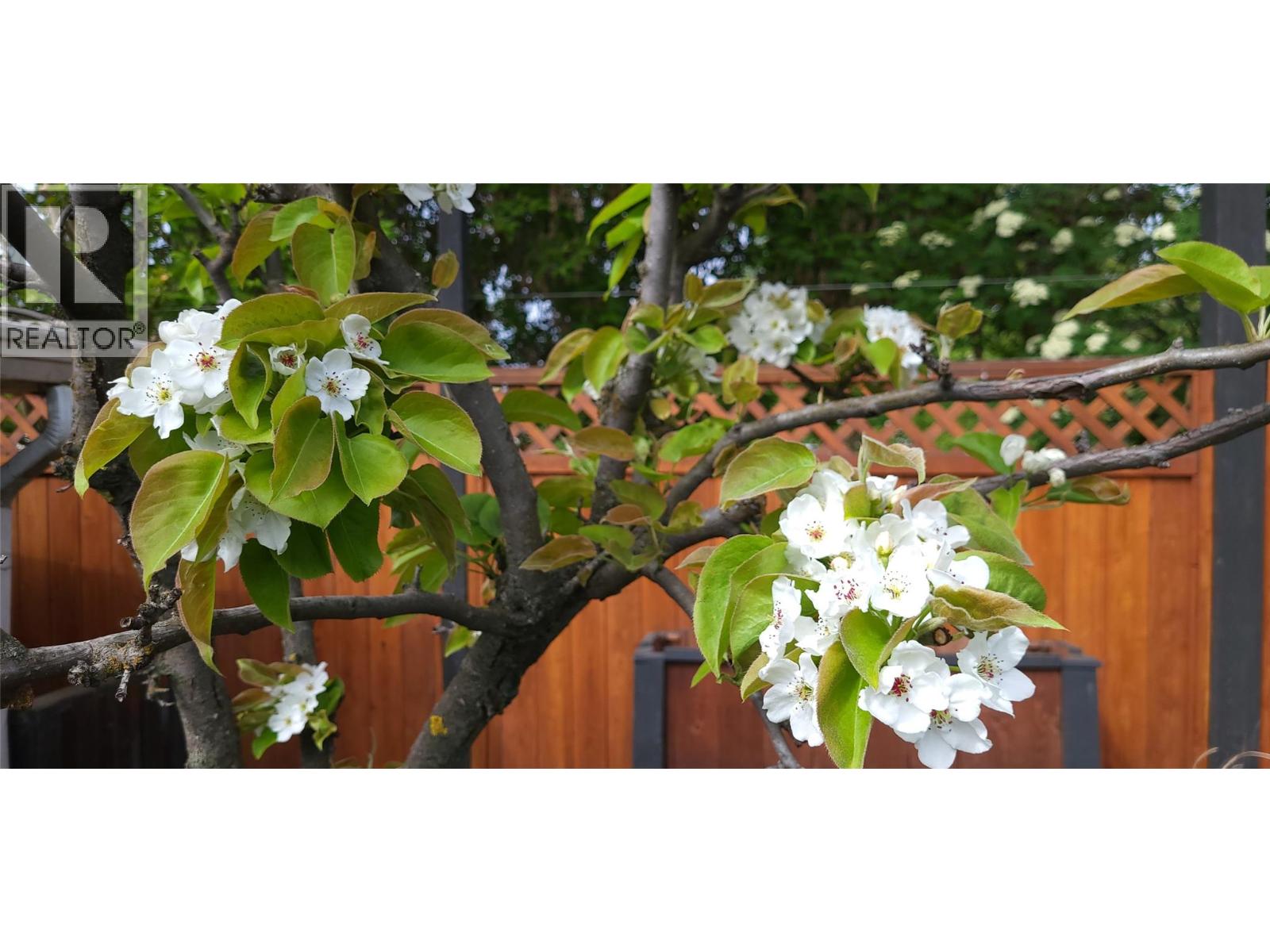 3930 26 Street, Vernon