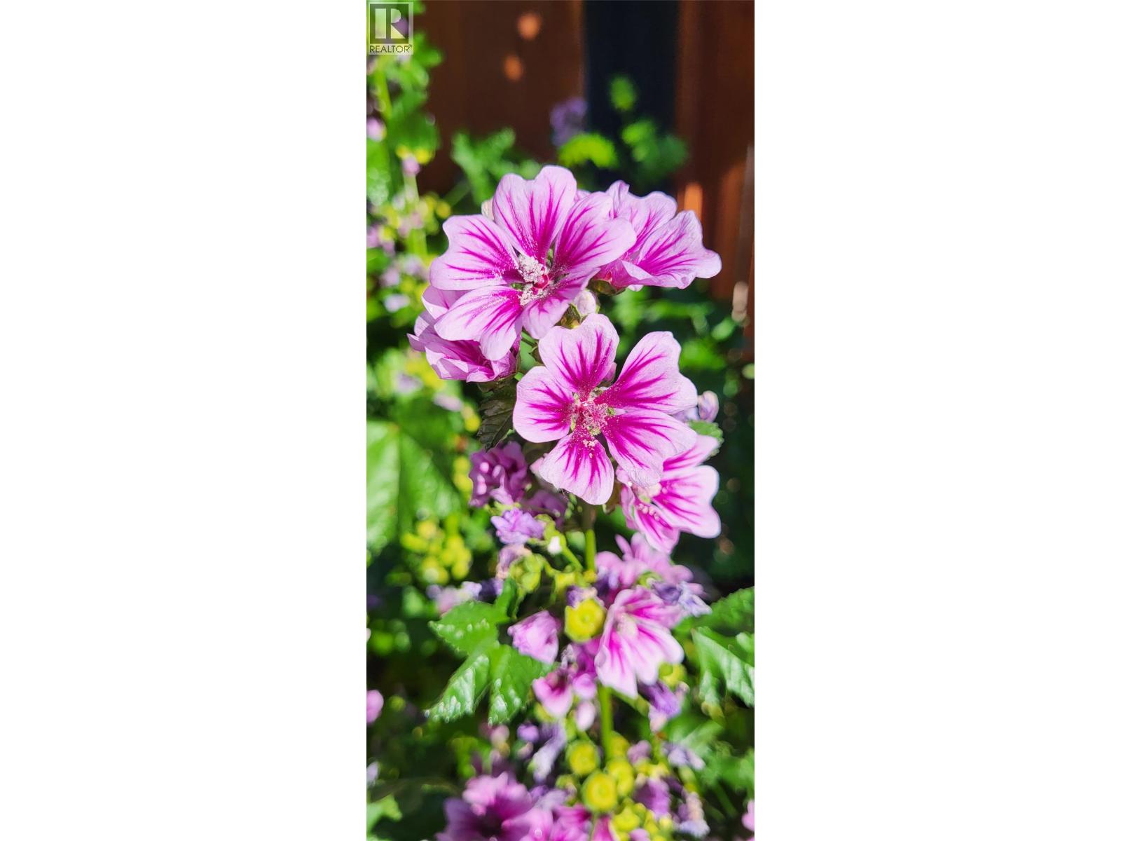 3930 26 Street, Vernon