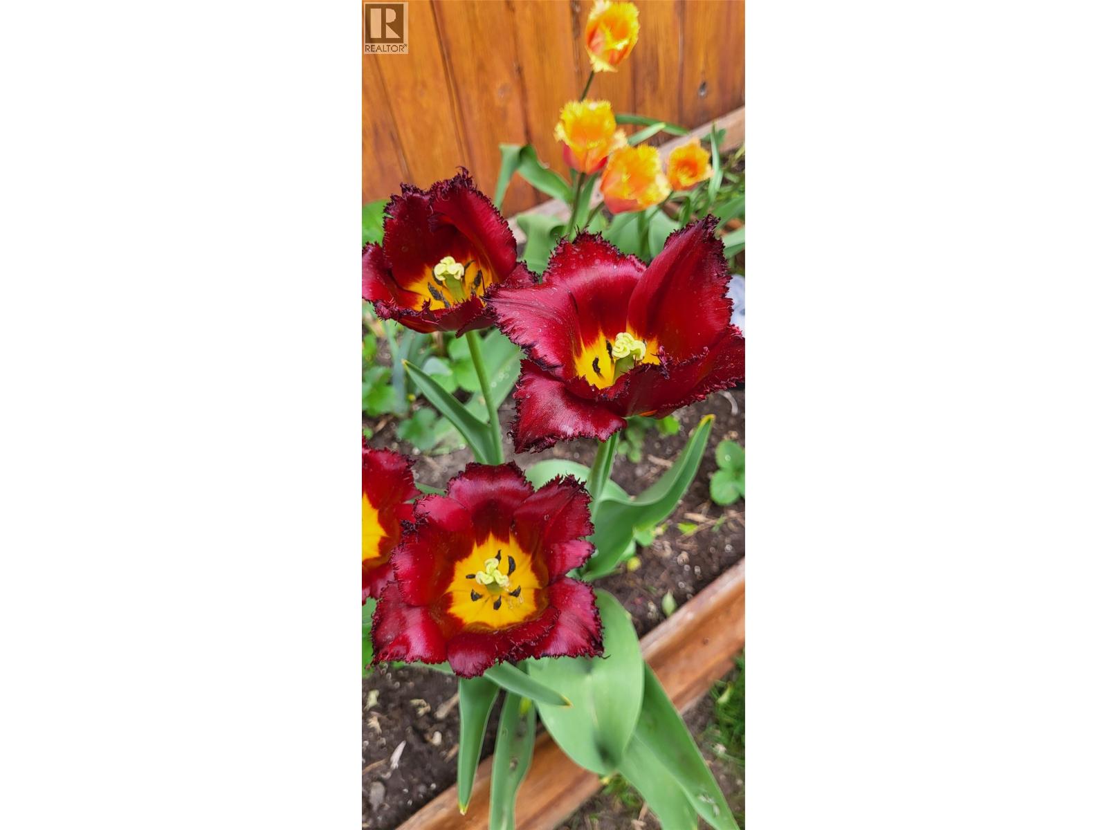 3930 26 Street, Vernon