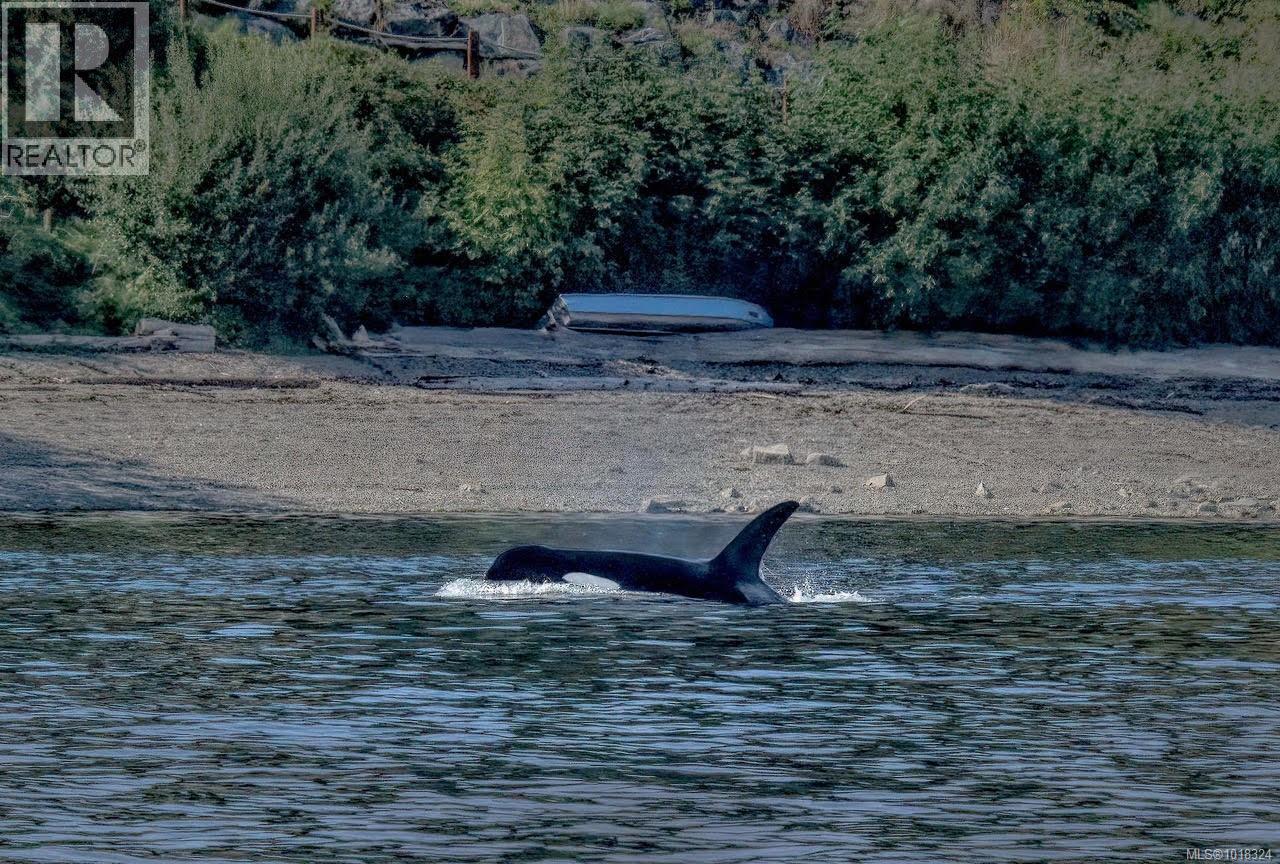 2851 Whiskey Point Rd, Mill Bay